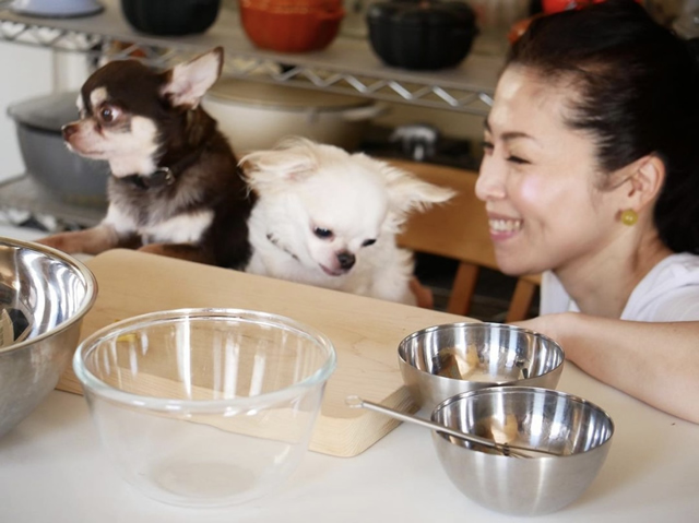ペットの飼い主の写真