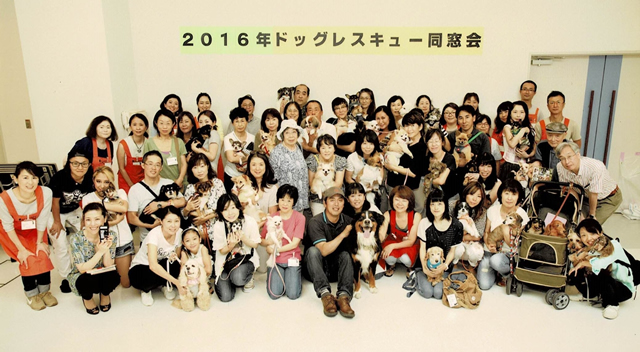 ドックレスキュー同窓会の写真